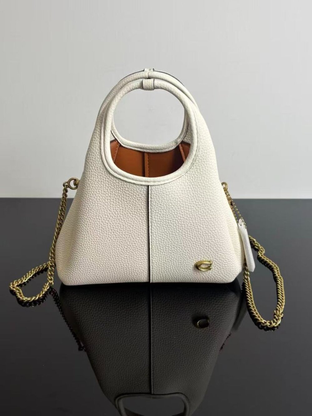 Coach Mini Lana 19 Tote Bag with Detachable Chain Strap - Picture 2 of 5
